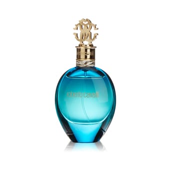 Cavalli acqua 2025