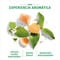 Acondicionador Herbal Essences White Grapefruit Mosa Mint 400ml