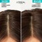 Kit Elvive Hialuronic Pure Shampoo y Oleo Extraordinario