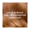 Shampoo Pantene Pro-V Miracles Revitalización 400ml