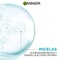 Agua Micelar Garnier Anti-Imperfecciones Express Aclara 400 ML