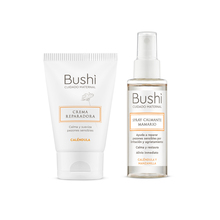 Kit Bushi Lactancia