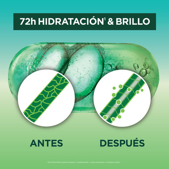 Garnier Fructis Aloe Hidra Bomb Cabello Deshidratado 350ml