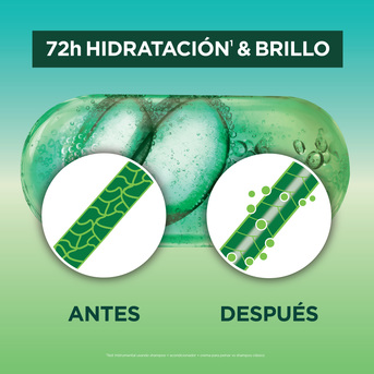Garnier Fructis Aloe Hidra Bomb 350ml