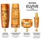 Tratamiento Elvive Óleo Extraordinario 100ml