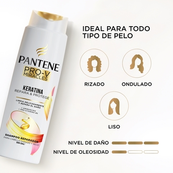 Pantene Pro-V Chiara Ferragni Miracle Protector Shampoo – Mit Keratin, Repariert Geschädigtes Haar, 250 Ml