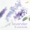 Desodorante en Crema para Todo el Cuerpo DOVE All Body Deo Lavender & Camomile 75 gr
