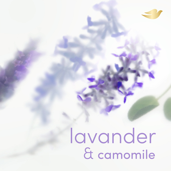Desodorante en Aerosol para Todo el Cuerpo DOVE All Body Deo Lavender & Camomile 150 ml