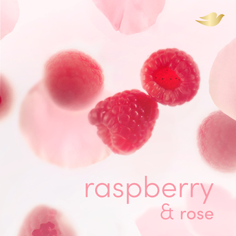 Desodorante en Aerosol para Todo el Cuerpo DOVE All Body Deo Raspberry & Rose 150 ml