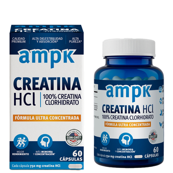 Ampk Creatina Hcl Ultra Concentrada Suplemento X 60 Cápsulas