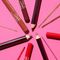 Delineador De Labios Wet 'n Wild Color Icon Lipliner 