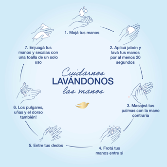Jabón Líquido Dove Antibacterial Cuida & Protege 220ml Repuesto