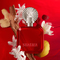 Perfume Shakira Rojo EDP 80 ml