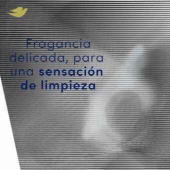 Desodorante Antitranspirante Dove Original 150ml