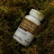 Melena de León Abies con Vitamina B1 60 Cápsulas