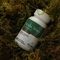 Reishi Abies Vitamina C 60 Cápsulas