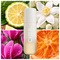 Body Splash Cher Original 135 ml