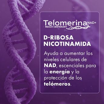 Telomerina NAD+ 60 cápsulas